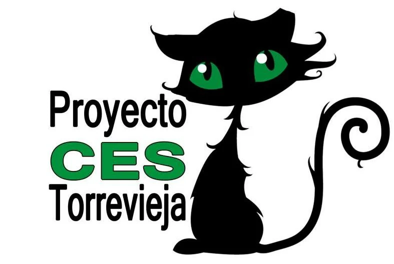 Identidad de Proyecto CES Torrevieja