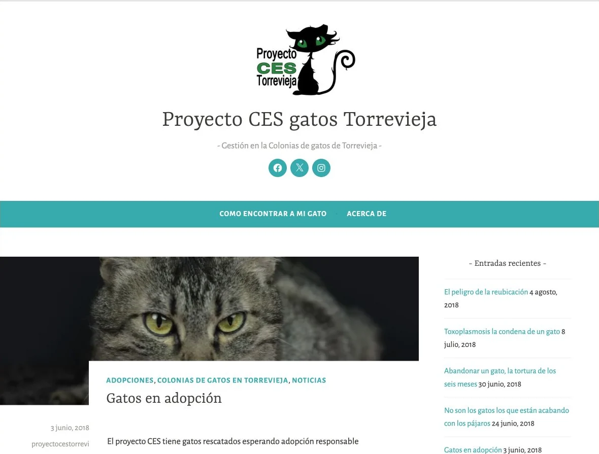 Web original de Proyecto CES Torrevieja